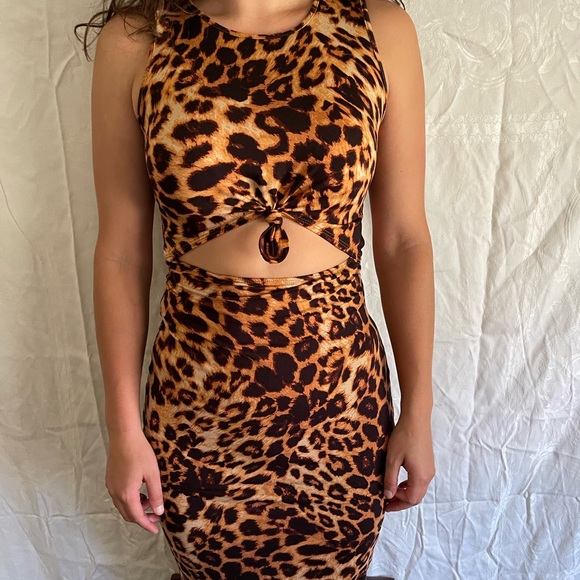 Meet your Posher, Olivia - Picture 2 of 16